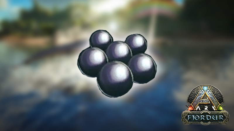 Black Pearls ARK Fjordur
