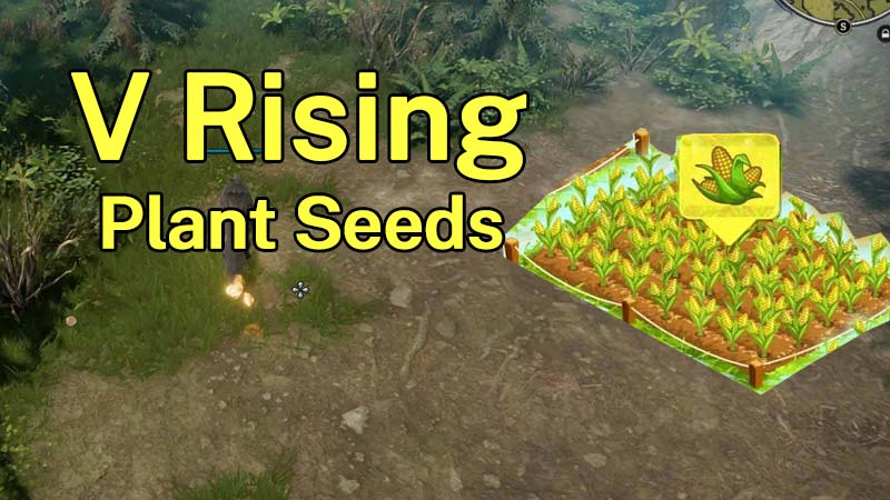 V Rising Seeds Farm