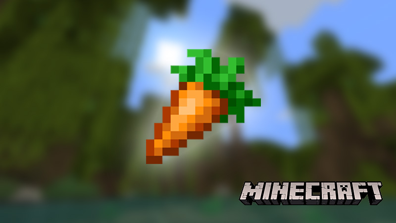 How to find carrots in Minecraft